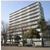 公園側からみたクリオ湘南平塚の様子