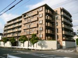 平塚袖ヶ浜ヒルズ 平塚袖ヶ浜ヒルズ